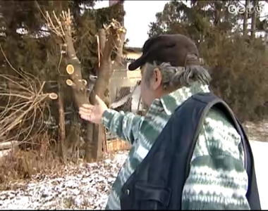 Gallyaz�s miatt felh�borodott lak�k