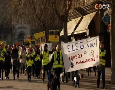 Az �llatk�nz�s ellen t�ntettek