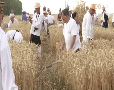 29. B�ki Arat��nnep