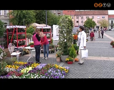 �szi cserje- �s vir�gv�s�rt rendezett a F� t�ren a Sz�p�t� Egyes�let