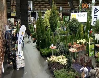 22. szombathelyi Faiskolai B�rze