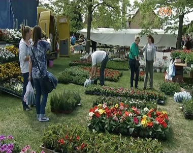 Minden eddigin�l t�bb kert�szet mutatkozott be a Her�nyi Vir�g�ton