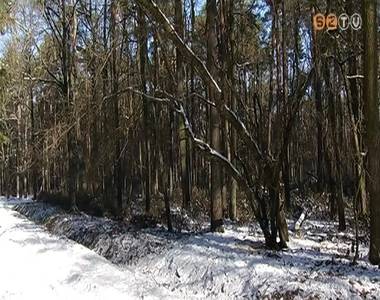 2017-ben a vadalm�t v�lasztott�k az �v f�j�nak