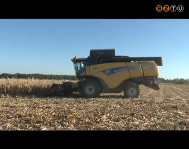 A vártnál kevesebb kukoricát takaríthatnak be a gazdák Vas megyében