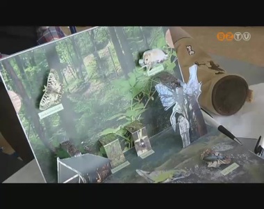 Komplex term�szettudom�nyi tanulm�nyi verseny region�lis fordul�j�t rendezt�k a Paragv�riban