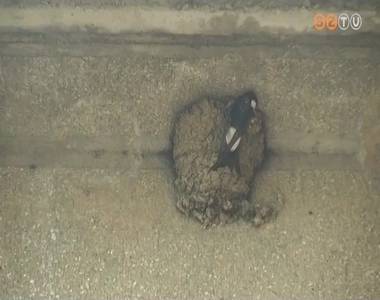 Vigy�zz a mad�rra!