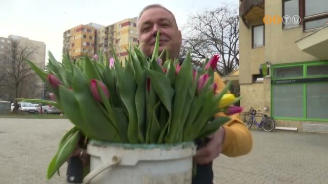 Ma nneplik vilgszerte a nemzetkzi nnapot