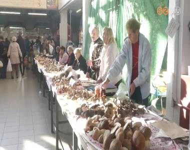 Megtelt gomba�rusokkal a V�s�rcsarnok