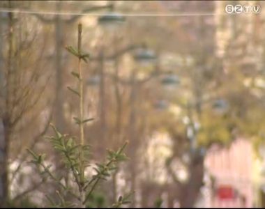 Karácsonyi díszítés Karácsonyi díszítés