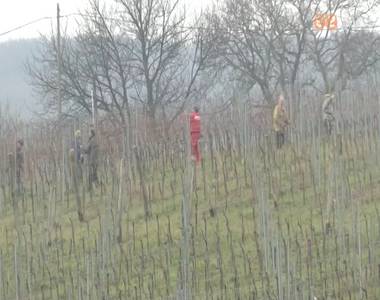 Komoly k�rokat okozhat a janu�ri meleg