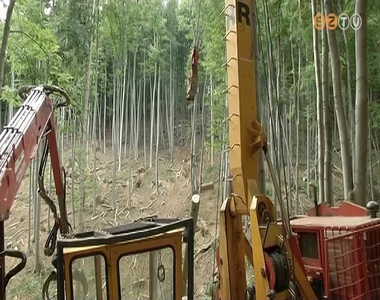 Helyre�ll�t�s Yvette ut�n