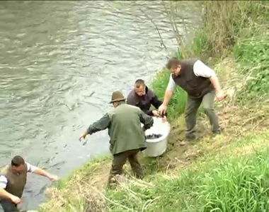 Horgszbajnoksg a Pinkn