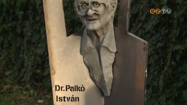 Felavattk Palk Istvn szobrt
